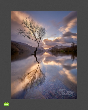 Reflection of Solitude