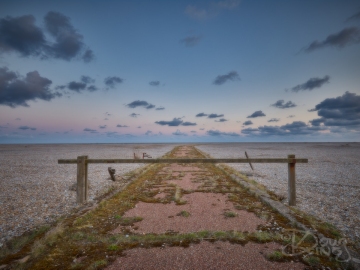 King_D_13-04-2019_338 1