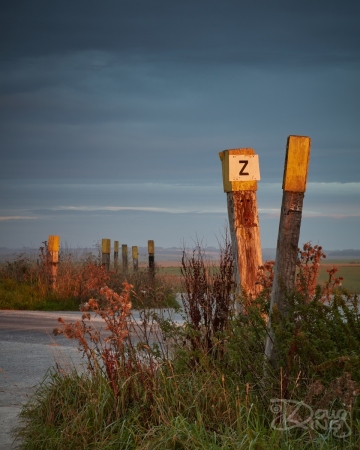 Old wooden posts of a Salisbury Plain tank crossing in sunrise light.    Size: 5636 x 7045, 30.5MB