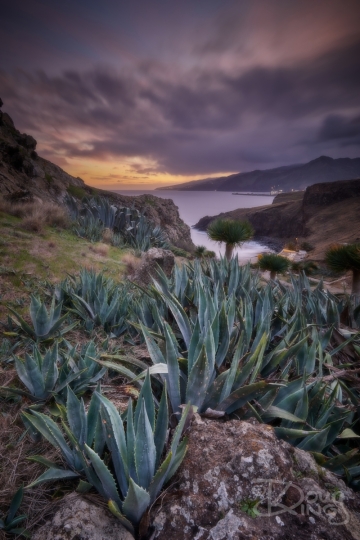 King_D_18-02-2020_546 1