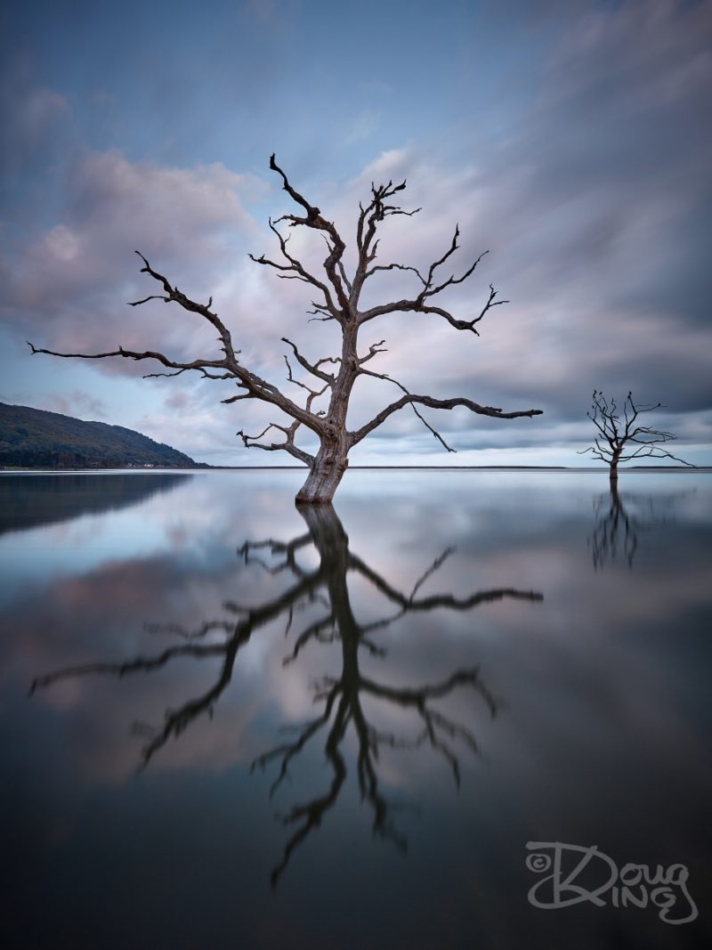 Porlock Marsh