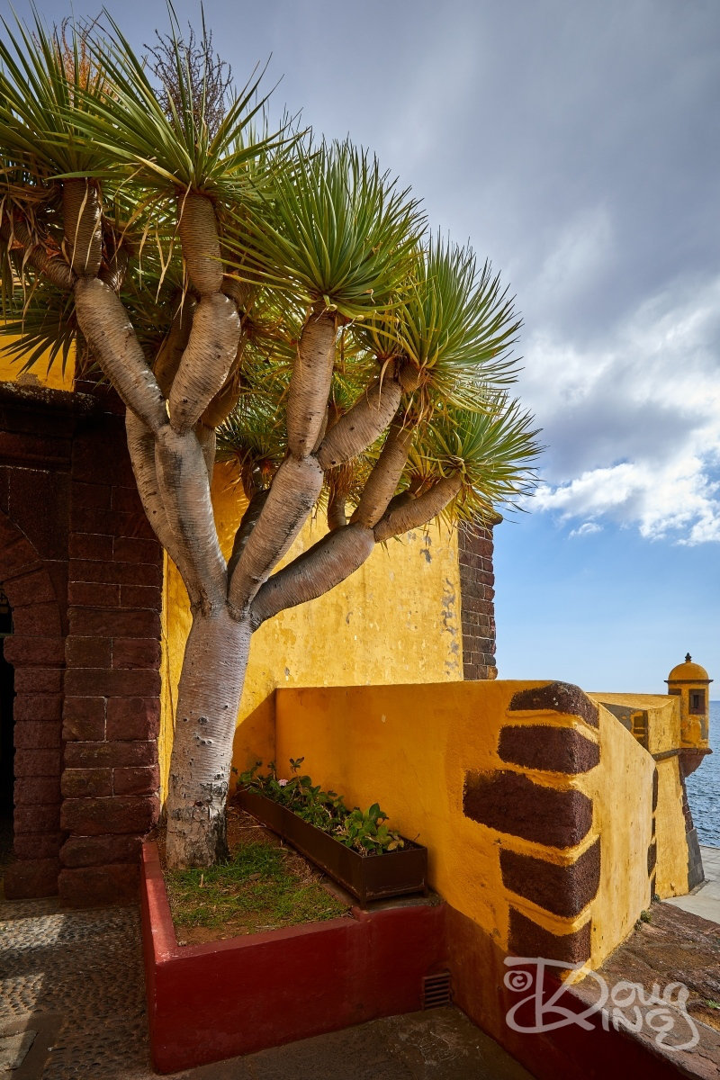 Sao Tiago Fort